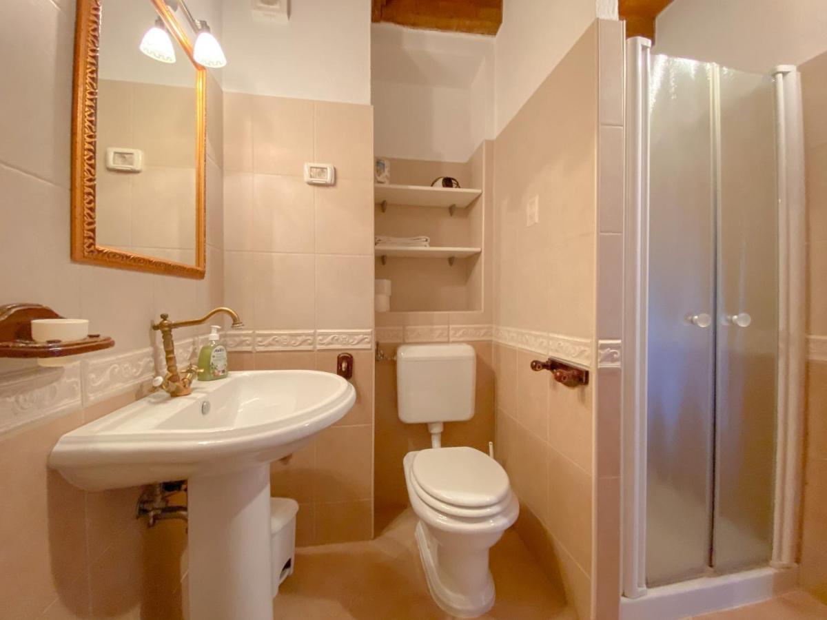 Apartment Laura Novigrad  ภายนอก รูปภาพ